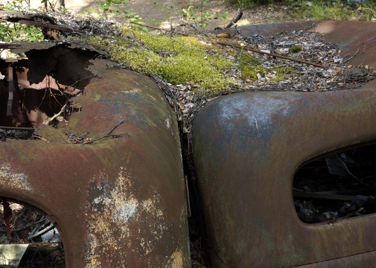 Fotos aus Schweden Lothar M. Peter Fotograf