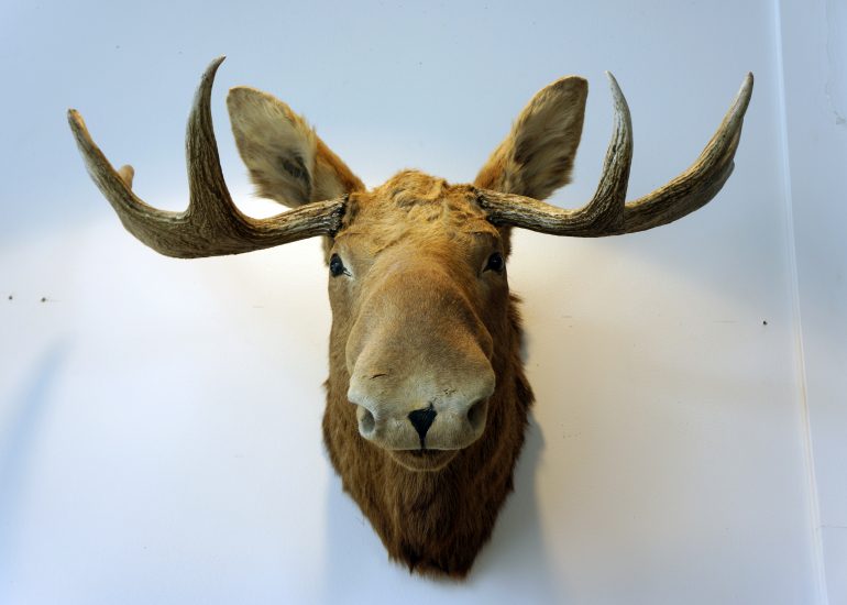 Foto aus Schweden Lothar M. Peter Fotograf