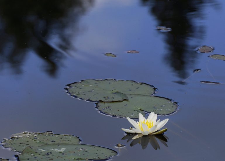 Foto aus Schweden Lothar M. Peter Fotograf