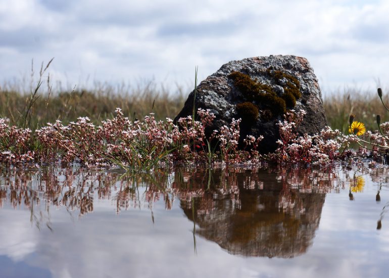 Foto aus Schweden Lothar M. Peter Fotograf