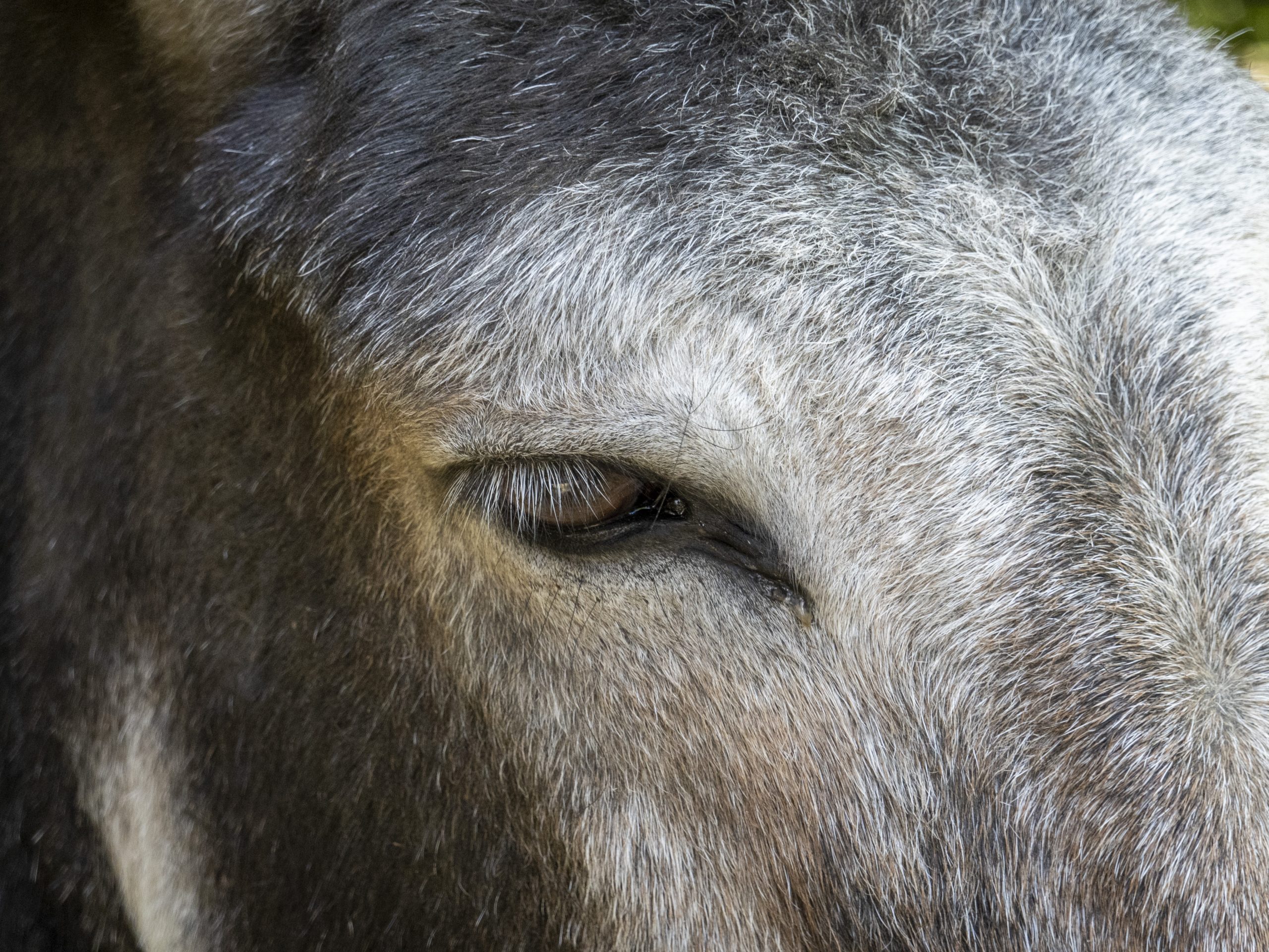 Fotograf Lothar M. Peter