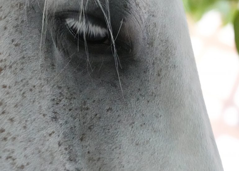 Fotograf Lothar M. Peter