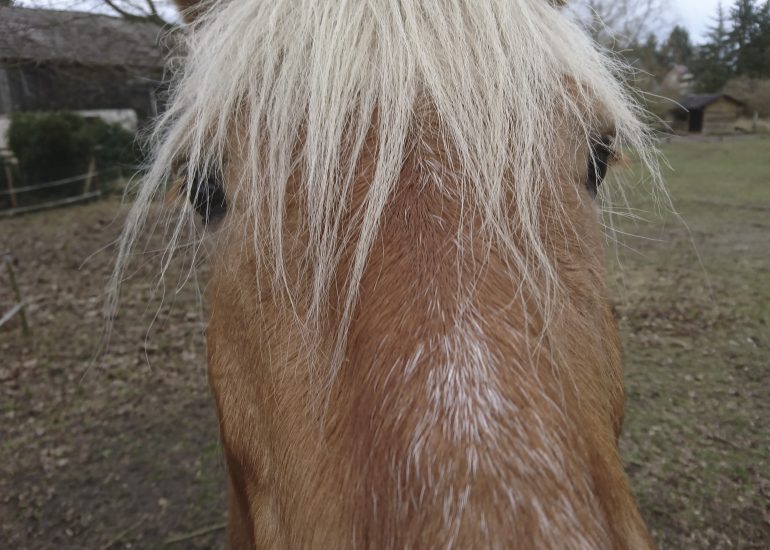 Fotograf Lothar M. Peter