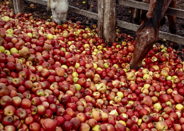 Fotograf Lothar M. Peter