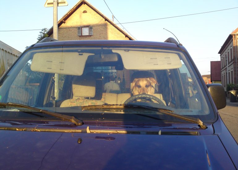 Fotograf Lothar M. Peter