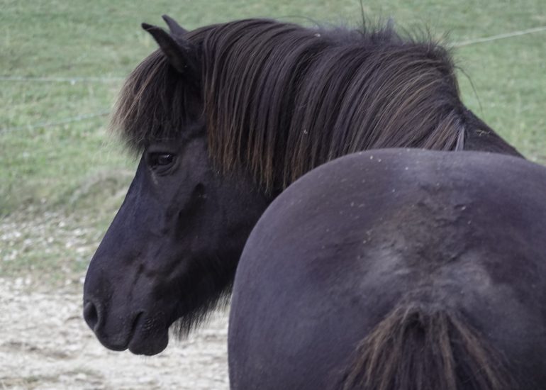 Fotograf Lothar M. Peter