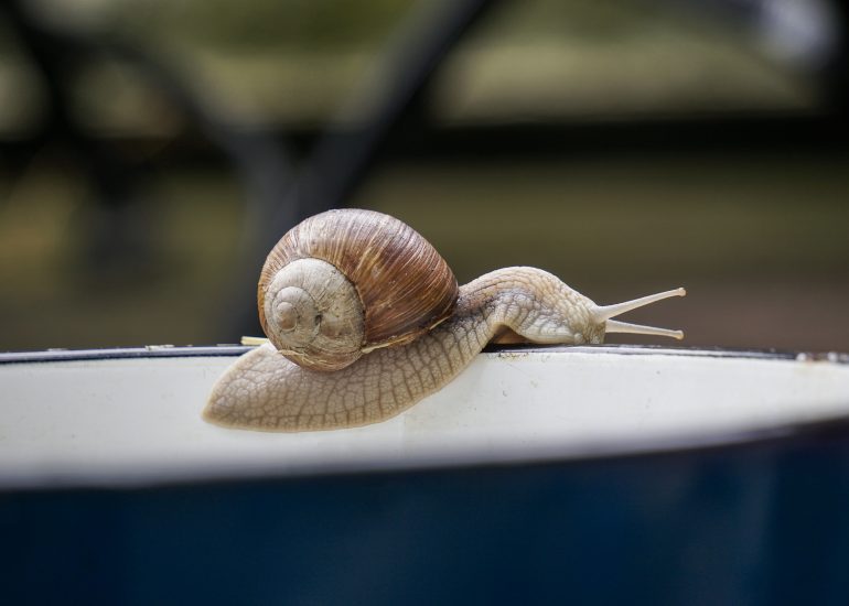 Fotograf Lothar M. Peter