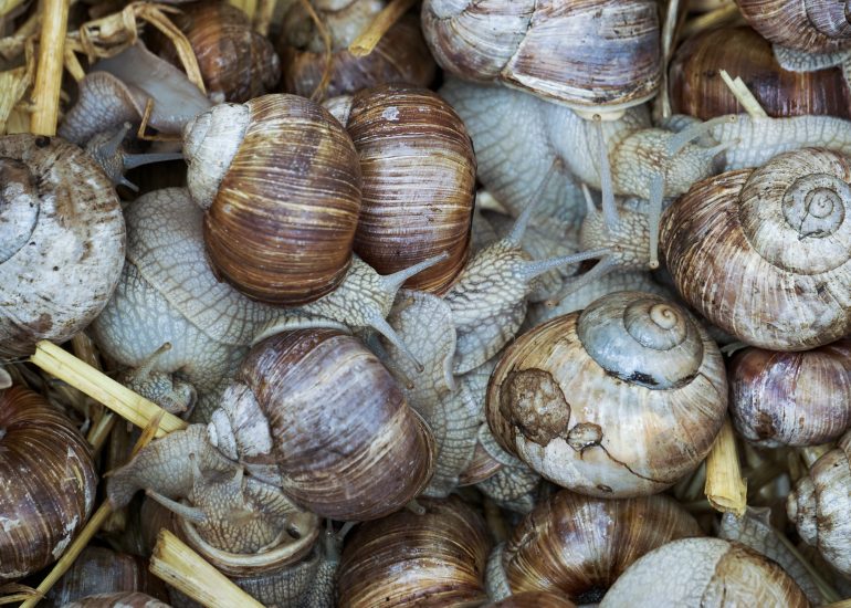 Fotograf Lothar M. Peter