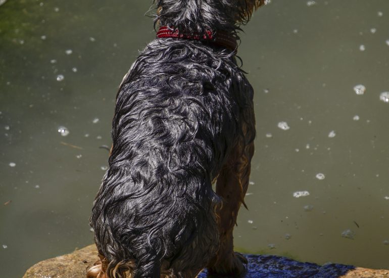 Fotograf Lothar M. Peter