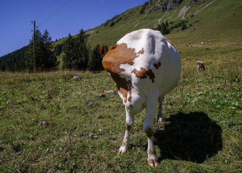 Fotograf Lothar M. Peter