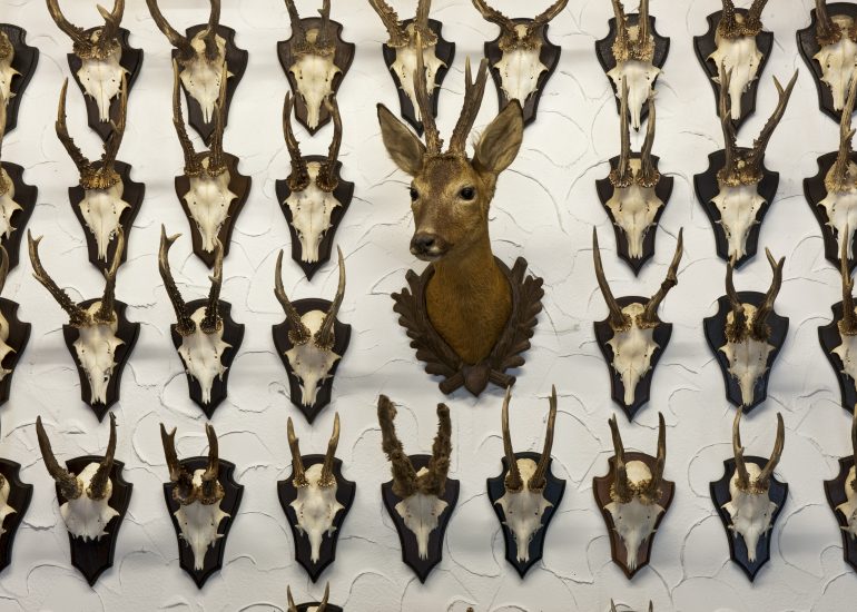 Fotograf Lothar M. Peter