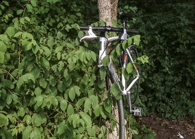 Fotograf Lothar M. Peter