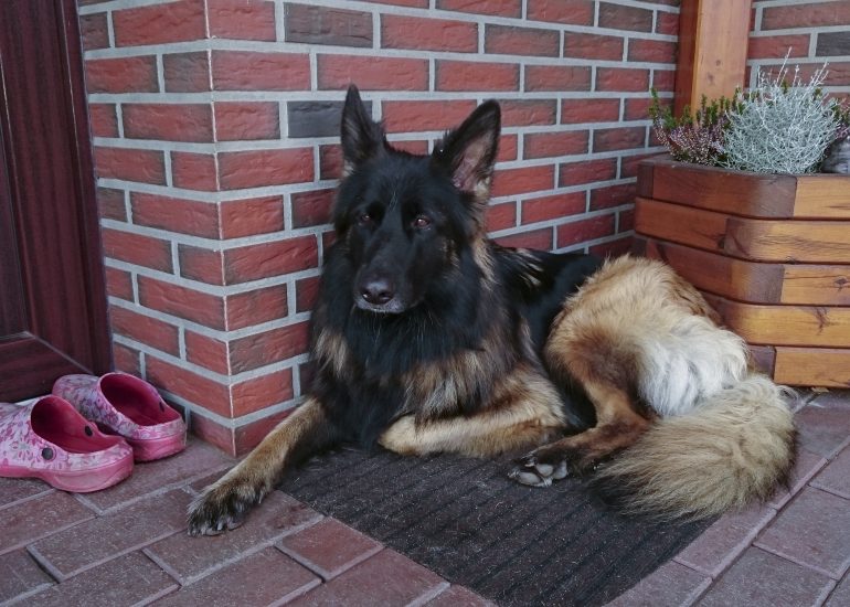 Fotograf Lothar M. Peter