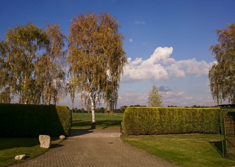 Fotograf Lothar M. Peter