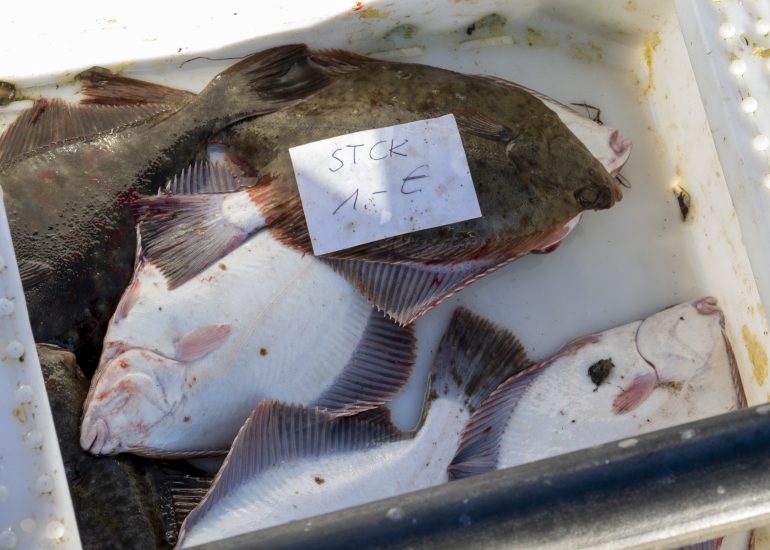 Fotograf Lothar M. Peter