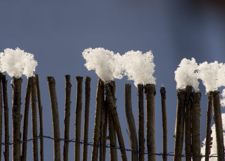 Fotograf Lothar M. Peter