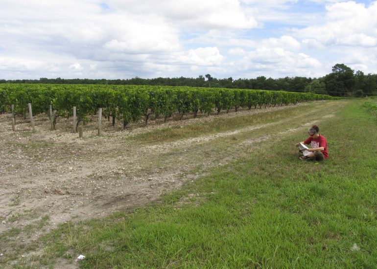 Fotograf Lothar M. Peter