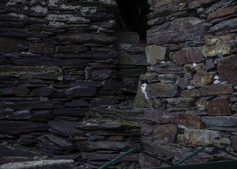 Fotograf Lothar M. Peter