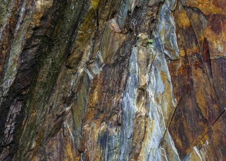 Fotograf Lothar M. Peter