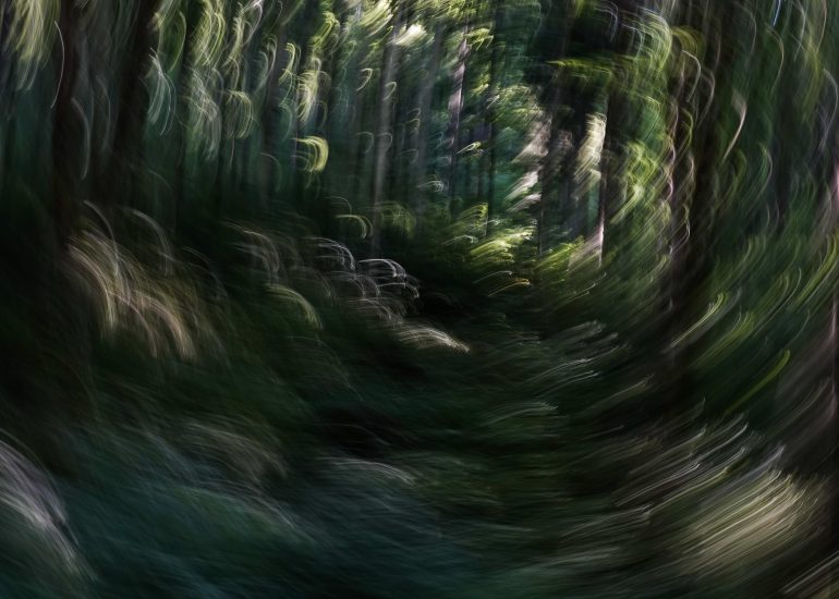 Fotograf Lothar M. Peter