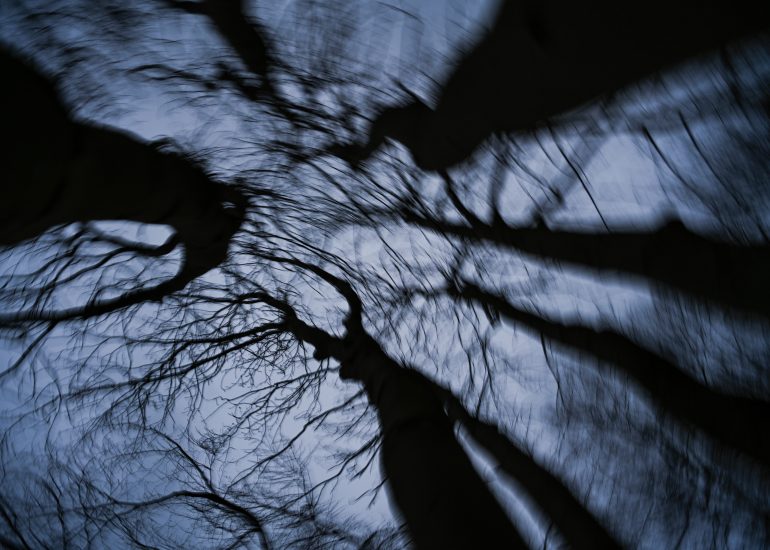 Fotograf Lothar M. Peter