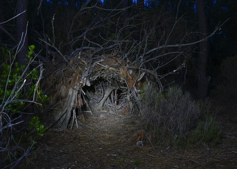 Fotograf Lothar M. Peter