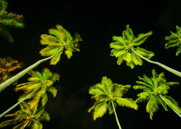 Fotograf Lothar M. Peter