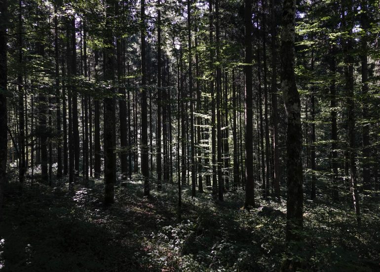 Fotograf Lothar M. Peter