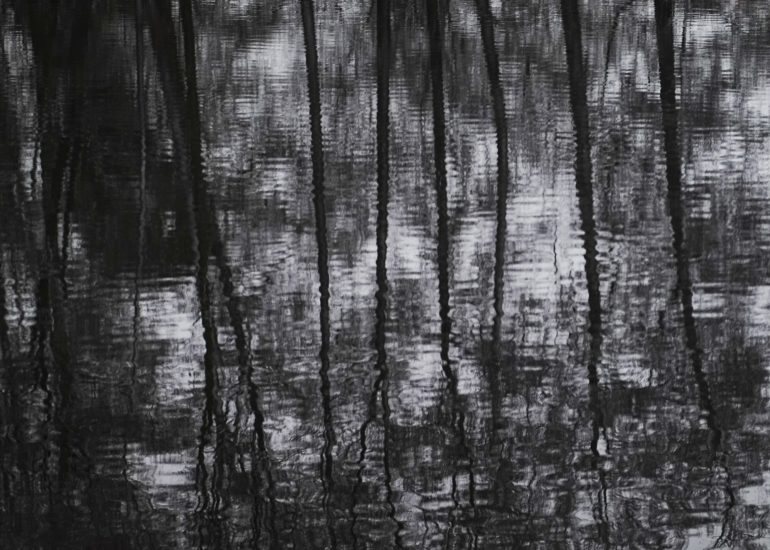 Fotograf Lothar M. Peter