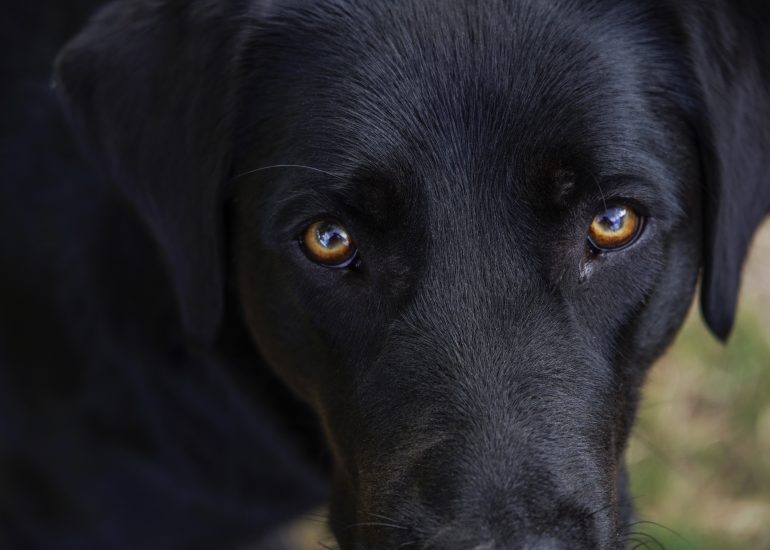 Fotograf Lothar M. Peter