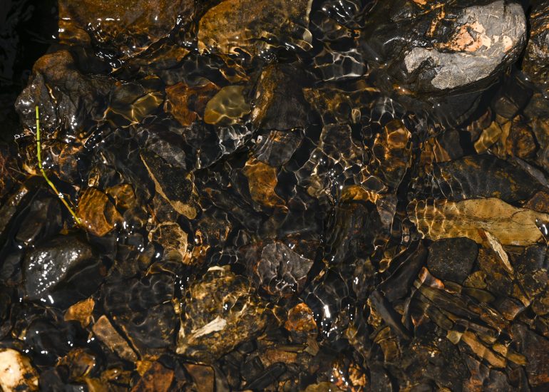 Fotograf Lothar M. Peter