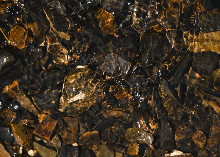 Fotograf Lothar M. Peter