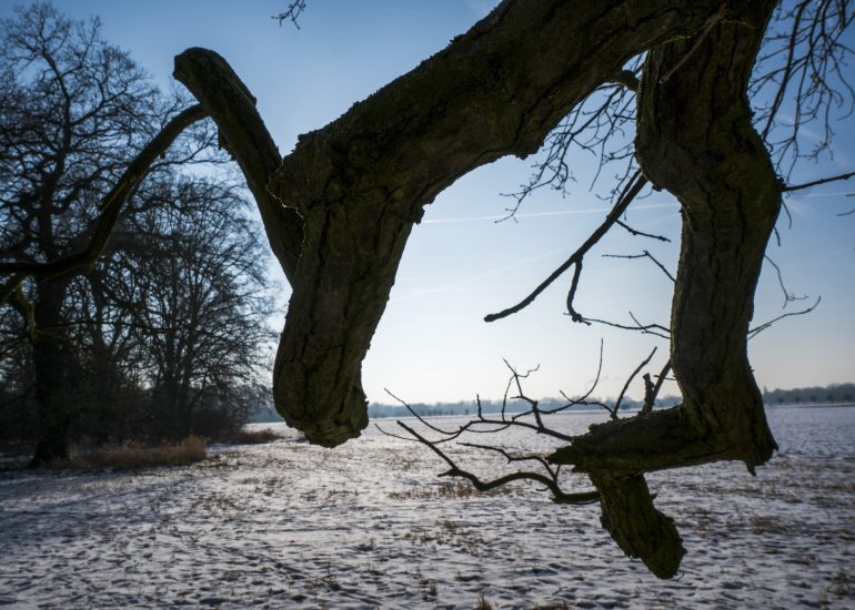 Fotograf Lothar M. Peter