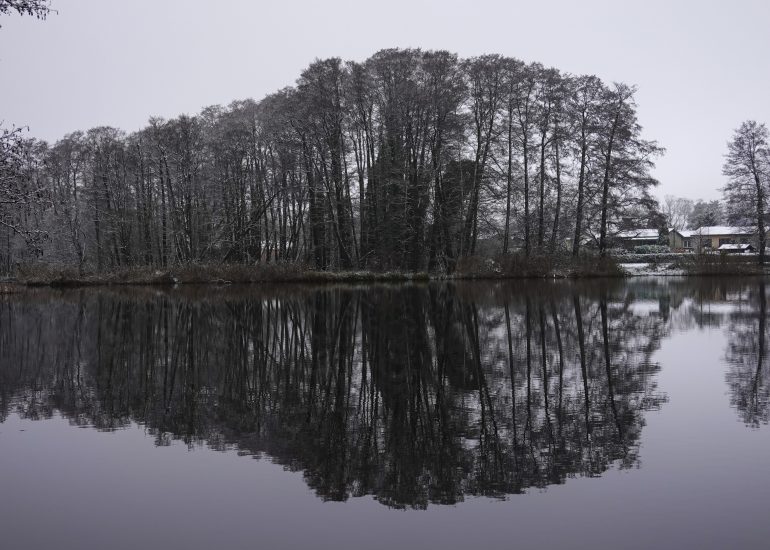 Fotograf Lothar M. Peter