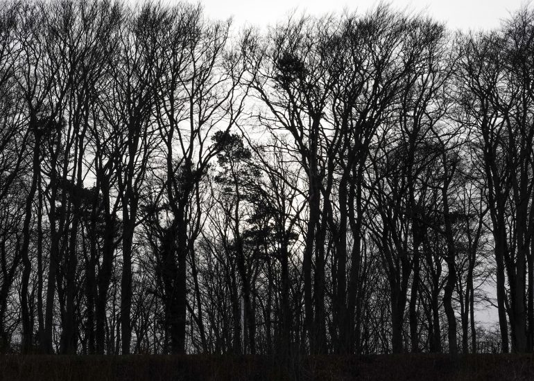 Fotograf Lothar M. Peter