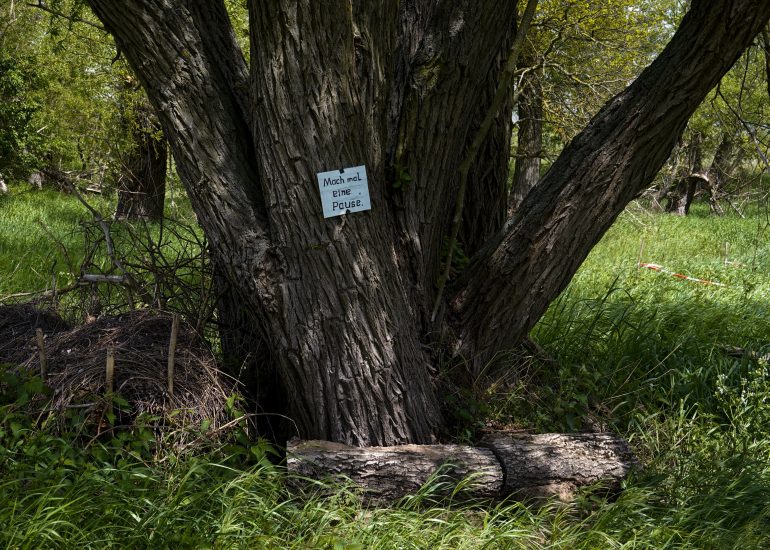 Fotograf Lothar M. Peter